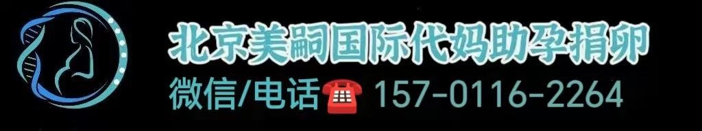 同性恋国内能做试管嘛